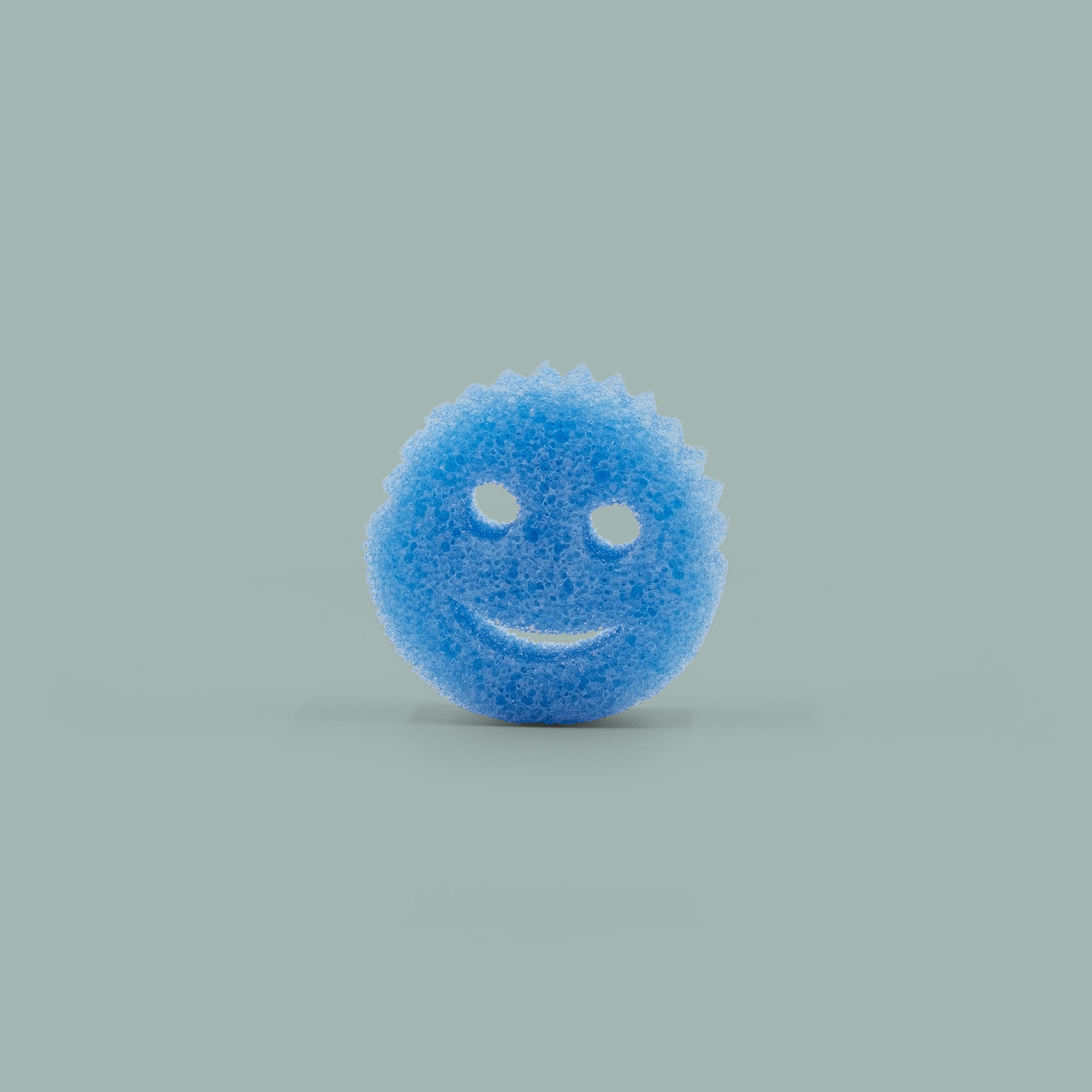 colors scrub daddy in box - blue