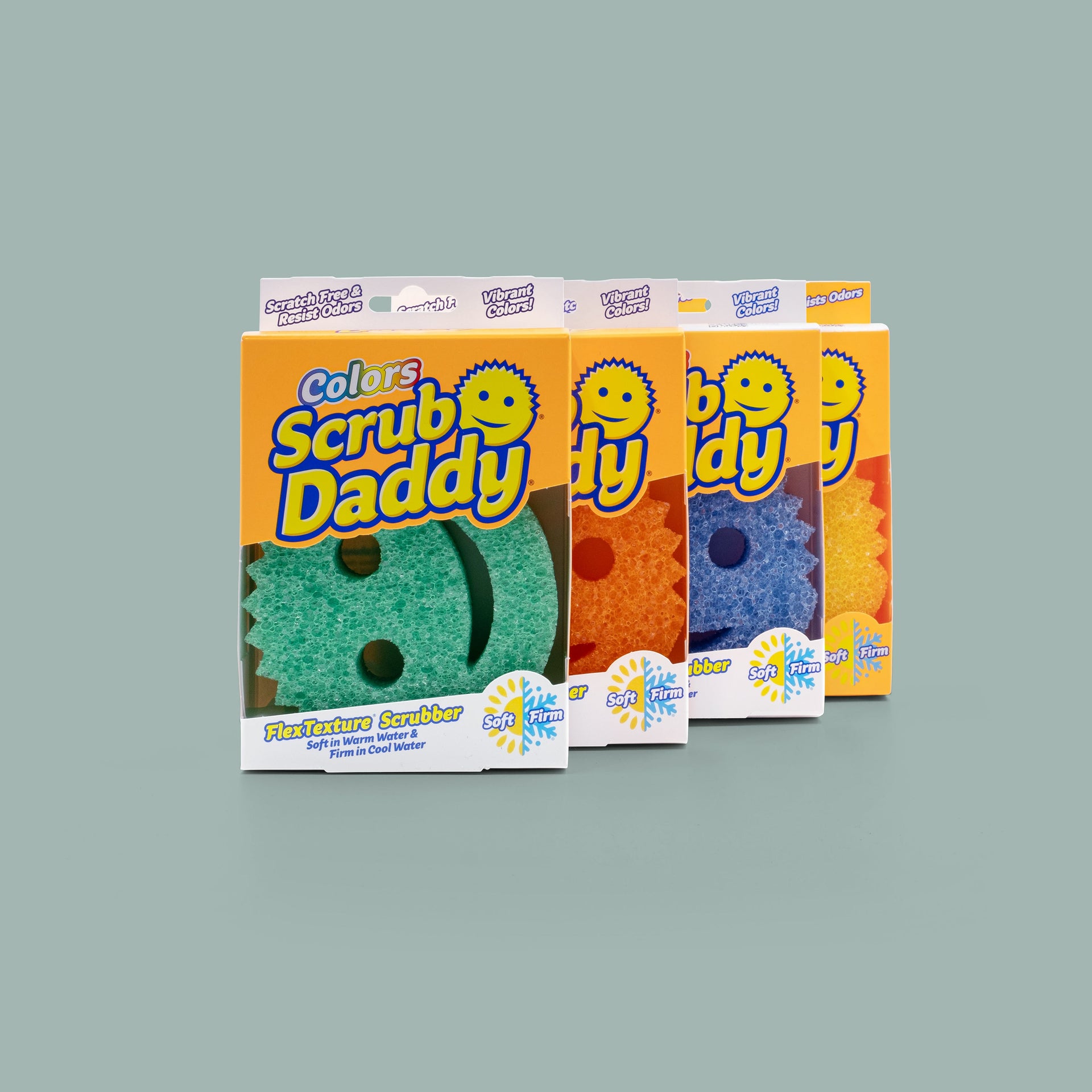 colors scrub daddy in box - blue